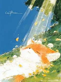 阳光洒落，治愈时光︳插画分享 - 小红书