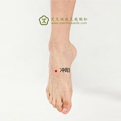 Riko丶采集到穴位