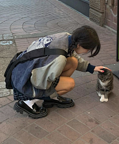 美味的硬木质果采集到女+猫