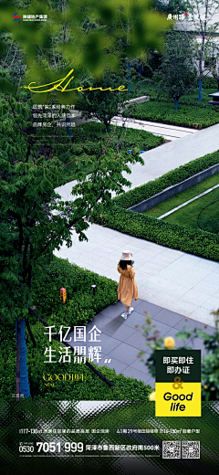 小王纸621采集到福星惠誉