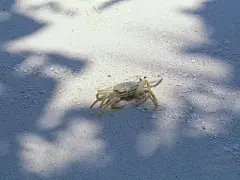 夏日清凉沙滩高清桌面壁纸桌面壁纸4