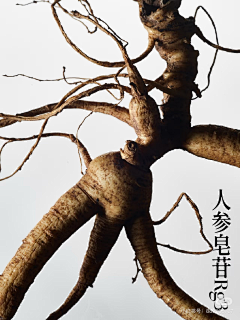 阿彬Ki采集到背景
