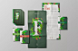 Freelife Visual Book