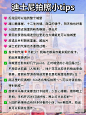 刚从迪士尼回来的血泪教训，不踩坑攻略