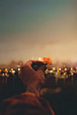 beautiful, blur, bokeh