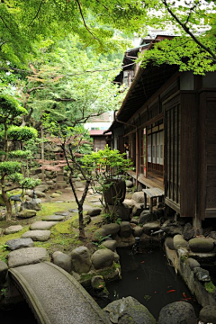 依旧采集到旅行