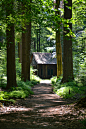 免费 垂直拍摄, 小徑, 木房子 的 免费素材图片 素材图片