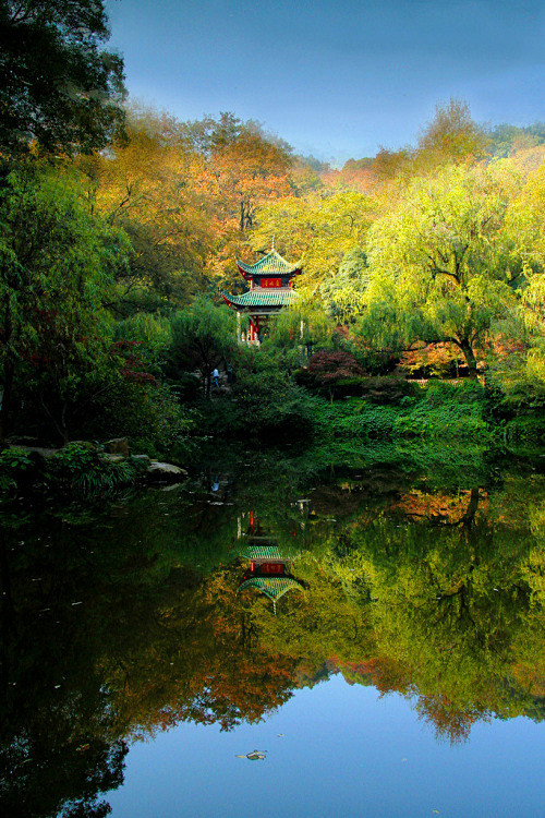 【蚁游中国】湖南-长沙-爱晚亭_旅游百科