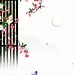 采集图片