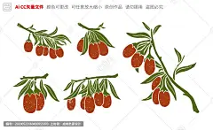 枸杞手绘