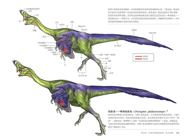 国际插画大师惠特拉奇的动物画教程：艺用生...