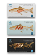 生鲜海鱼包装设计海鲜礼盒包装设计