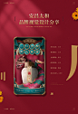 安昌太和设计策略-黄酒首页_土川_首页/专题图片-致设计