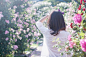 缪莉莉jasmine_美图_新浪轻博客