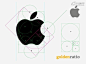 Apple的Logo上没有标识出公司名称，只有很少的几家公司会这样做。但Apple的Logo却成为全世界最著名的公司标识之一。该Logo具有完美的平衡，映射到Logo上的轮廓是在直径上遵循斐波那契数列的圆形。