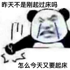 苏有才君采集到表情包