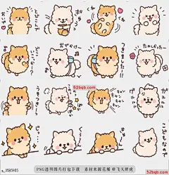 line贴图表情包蓬松的胖Pomeranian3 |fluffy fat Pomeranian3 蓬松的狗，它愈合了|fluffy dog which is healed@飞天胖虎