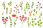 psefan.com-Watercolor-Flowers-Floral-Clipart  - PS饭团网