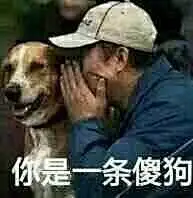 【表情包- 161010- 求助】求“你是一条傻狗”无水印表情包_表情包吧_百度贴吧