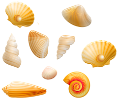 大饼xiis采集到海洋