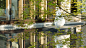 Sun City Tachikawa Showa Kinen Koen-David Lloyd-8106.jpg