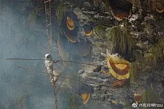 尼泊爾野生蜂蜜獵人
转自Successful Flow脸书贴文 ​​​​