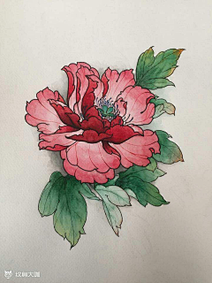 青春是一场远行采集到插画