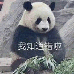 熊猫我知道错啦表情包
