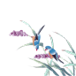 中国画花鸟-免抠PNG透明素材
