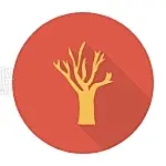 haunted Tree