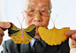 银杏叶变身“花蝴蝶” - 来自江苏苏州八旬老人顾厚新作品，银杏叶蝴蝶是老人利用树叶的本身的扇形构造，稍加修饰上彩而完成的，很天然的艺术品
