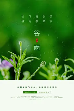 二十四节气谷雨海报设计