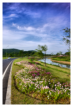 小馒花花采集到公园