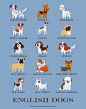 Delightful Illustrated Posters Are a Guide to 192 Dogs of the World : Our favorite types of dogs come from all over the world, and illustrator Lili Chin would know - she’s drawn nearly 200 of them! Starting in the summer of 2014, she presented the series 