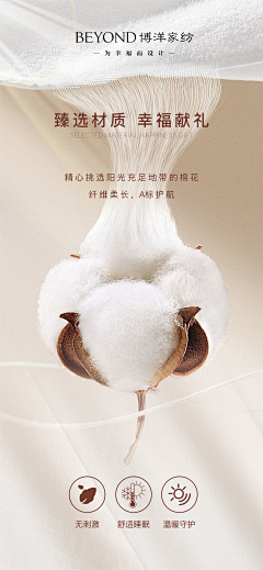 布拉比采集到产品详情