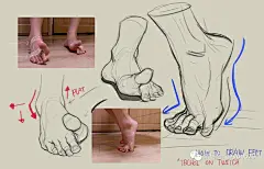 插画教程 |   设计师 TB Choi的足部和手的教程 : 关于手绘、插画、原画、手绘板绘画、美术设计等相关数字艺术（CG）的分享学习平台。国内优质CG行业订阅号！各种CG绘画教程资讯信息集聚地。CG窝陪伴你不断的成长！