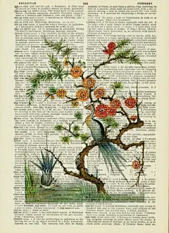 美国艺术家Jean Cody作品