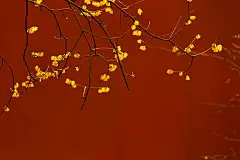 “ 立春转红运 …... - @中国书画诗词院的微博 - 微博