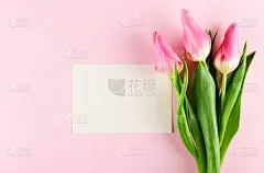 春天,粉色,概念,大量物体,留白,闷闷不乐,贺卡,边框,母亲,厚木板