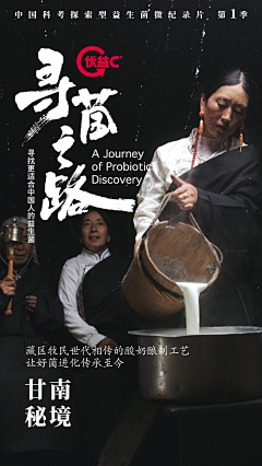 息岚采集到文旅