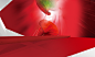 bg1