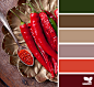 Design Seeds® | find your palette