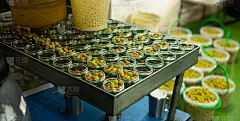 橄榄和其他原料装在玻璃罐中