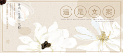 大白爱吃菜采集到banner