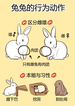 马钺采集到待归类采集