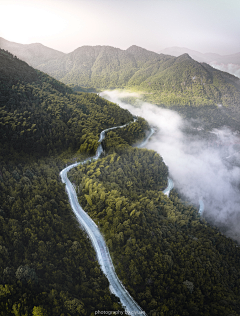 yibei凉茶采集到背景