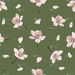 式样,樱桃树,白色,自然,纺织品,图像,花朵,壁纸,樱桃,枝