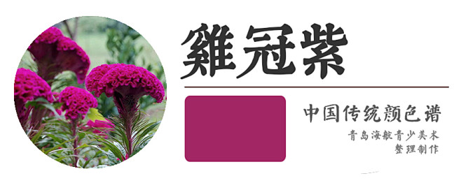 【鸡冠紫】
《元典章》记录的禁止民间使用...