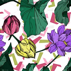 莲花,植物学,黑色,仅一朵花,纺织品,荷花,壁纸,植物群,春天,花