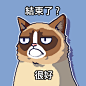 我在史上最差的不爽貓遊戲中#grumpycat http://grumpy.cat/GCWorstGameEver獲得了70